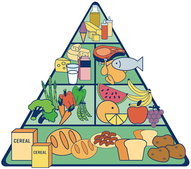 Food pyramid of Terica Uriol
